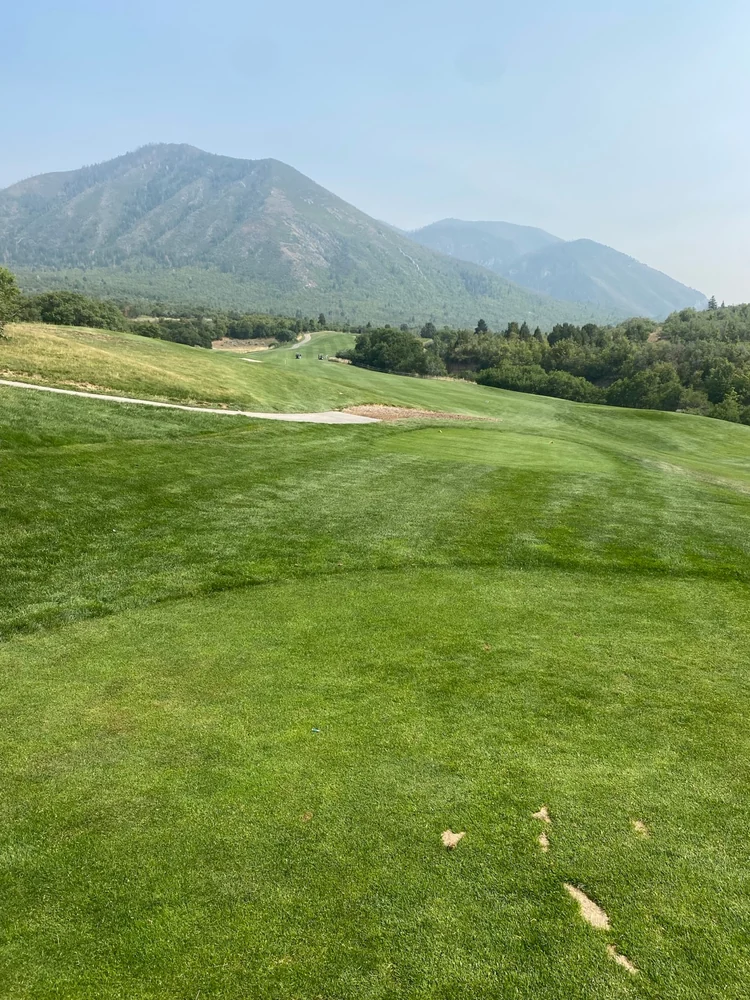 A rolling fairway and cart path at Gladstan Golf Course beneath wooded mountain slopes.