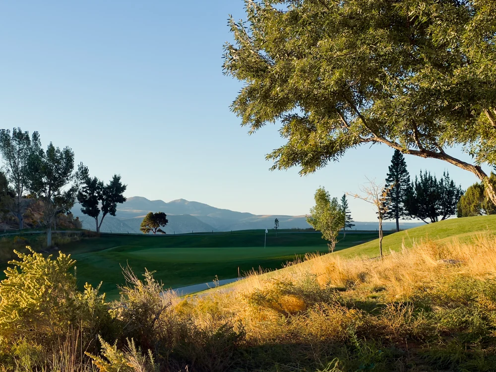 A ground-level view of a green and flag at Palisade, framed by trees and dry grass with mountains beyond.