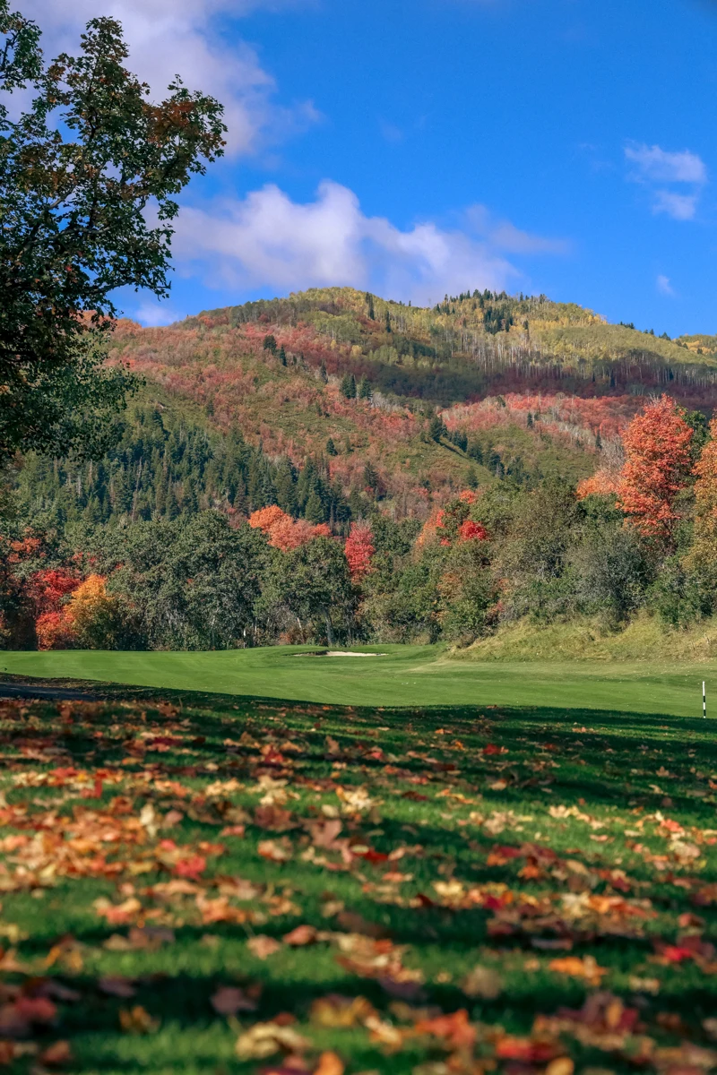 Autumn leaves beside a fairway and trees at Wasatch Mountain Golf Course.