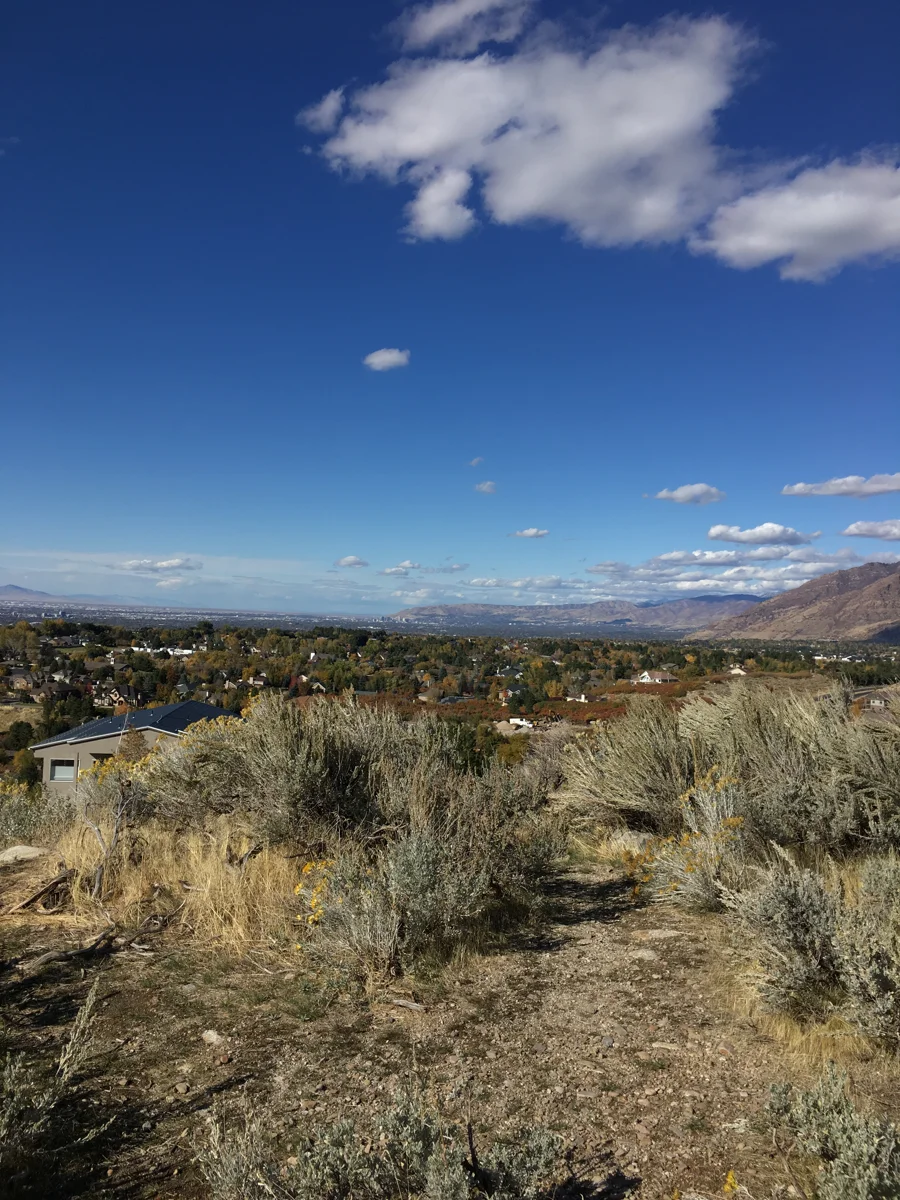 Dry vegetation and a valley view from the Bells Canyon area