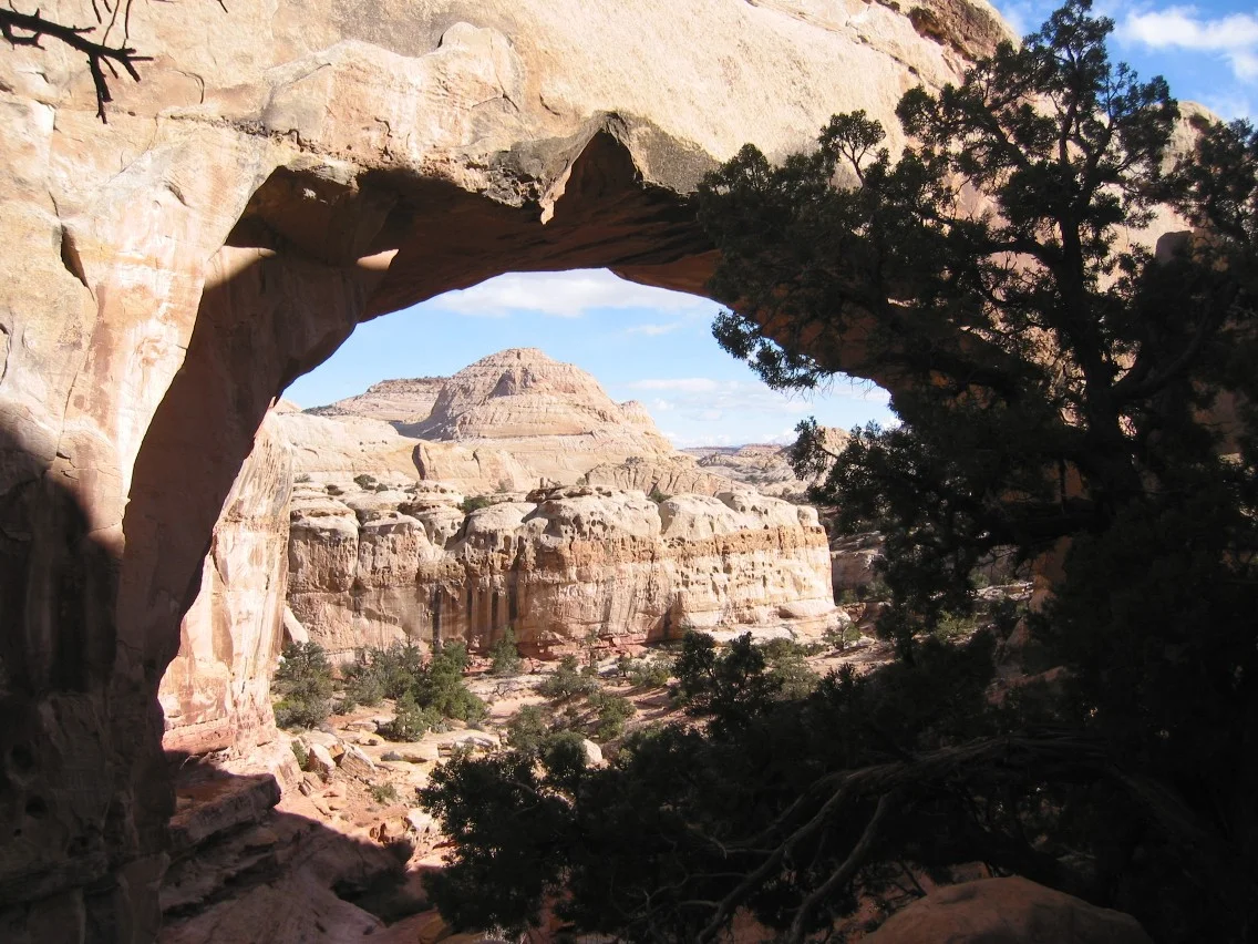 Hickman Bridge spanning a sandstone opening in Capitol Reef National Park