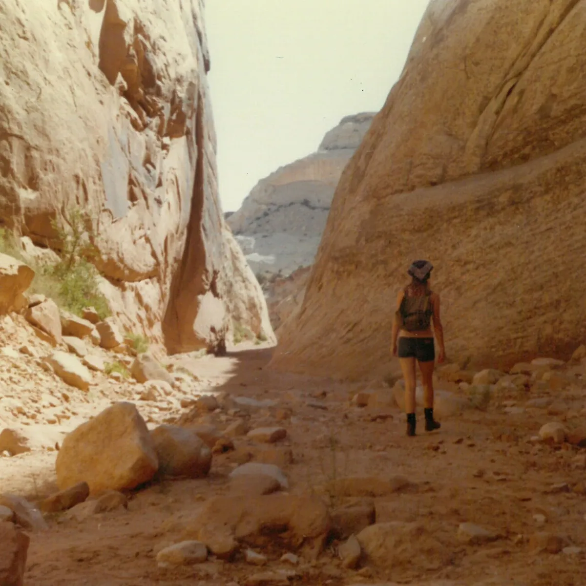 A hiker walking up the narrow Capitol Gorge in Capitol Reef National Park