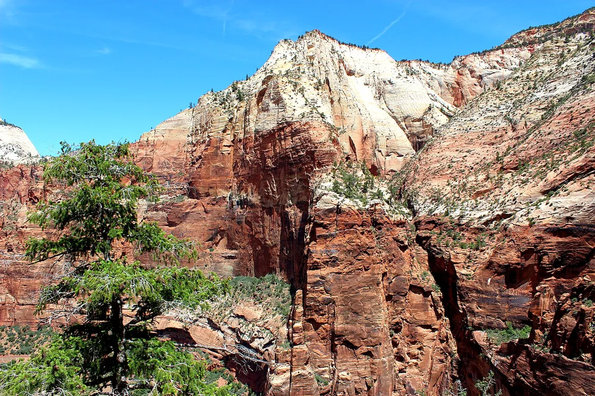 Zion Canyon cliffs seen along the East Mesa Trail toward Observation Point