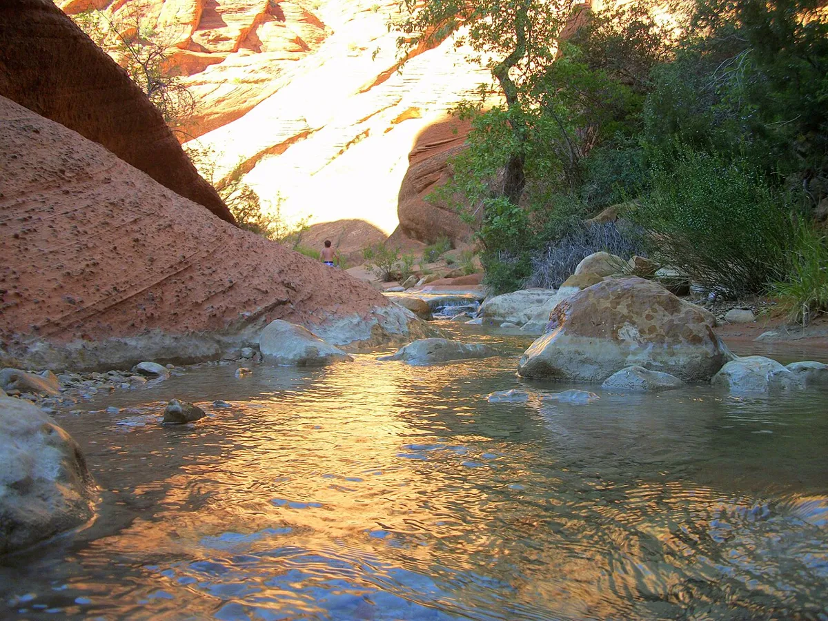 A stream with sunlit canyon walls along the Red Reef Trail in Red Cliffs Recreation Area