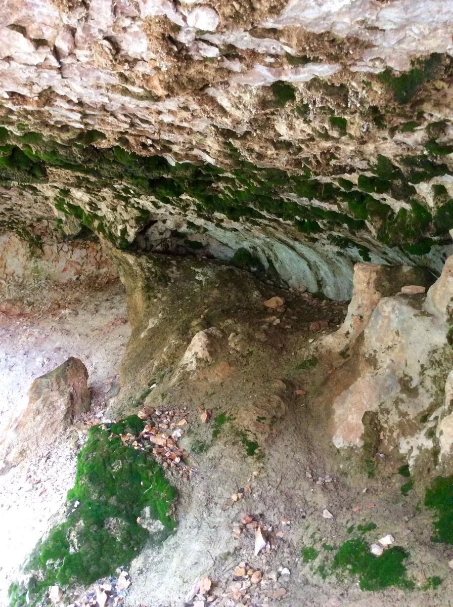 The moss-lined recess of Mossy Cave in Bryce Canyon National Park