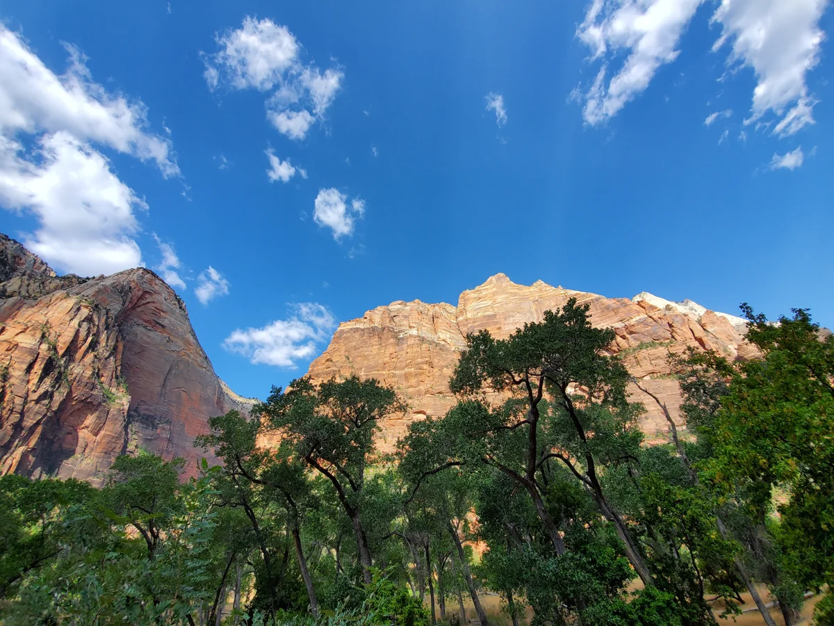 Trees and sandstone cliffs above the Riverside Walk in Zion National Park