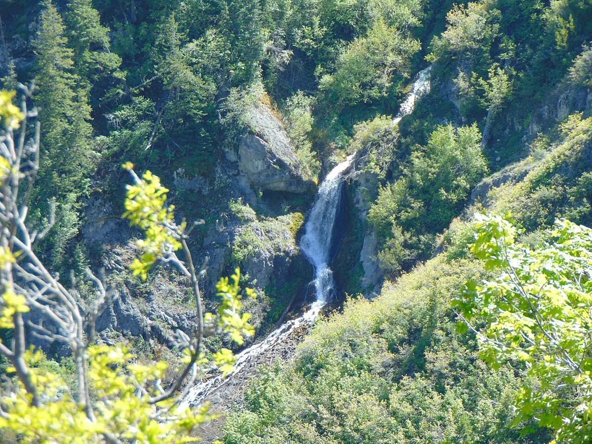 The lower tier of Stewart Falls surrounded by green vegetation