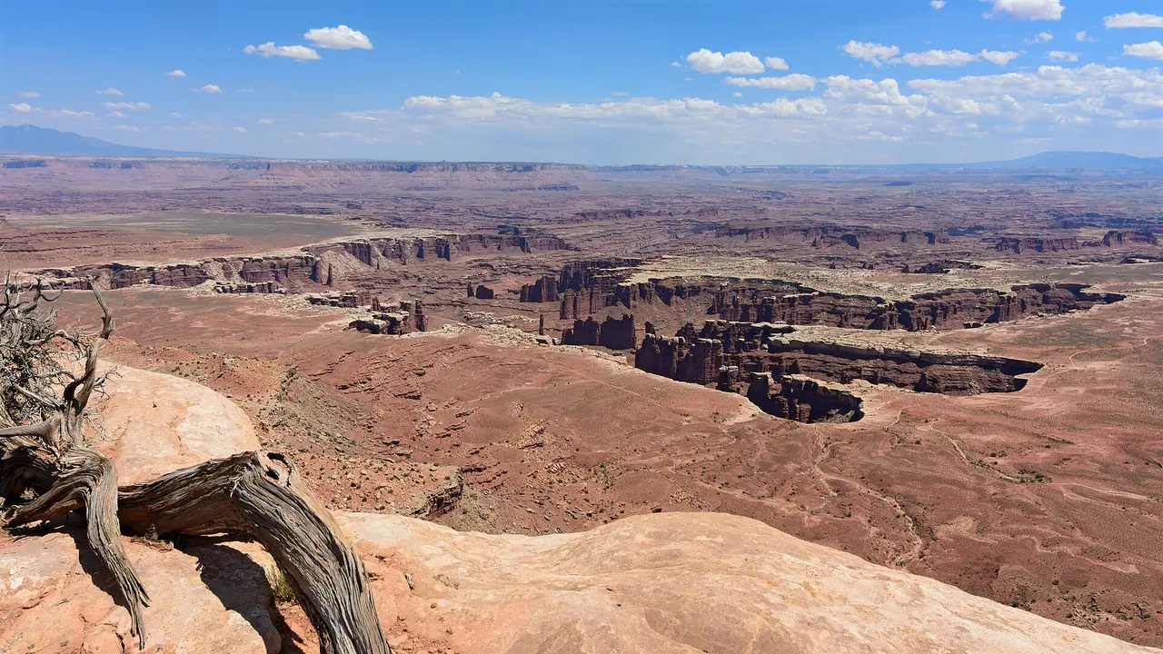 Layered canyons and the White Rim spreading below Grand View Point in Canyonlands National Park