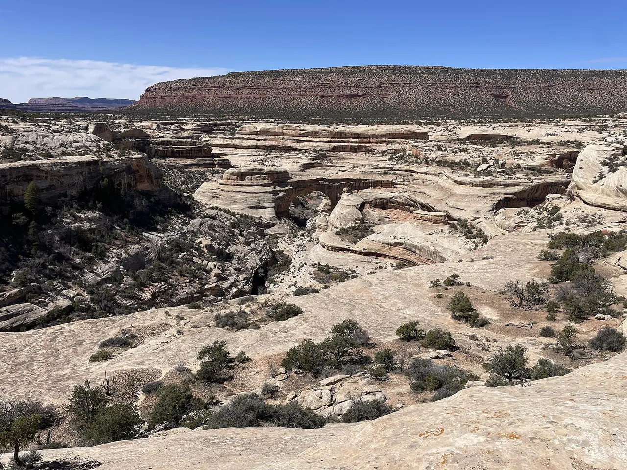 Sipapu Bridge, a massive natural sandstone span in White Canyon at Natural Bridges National Monument