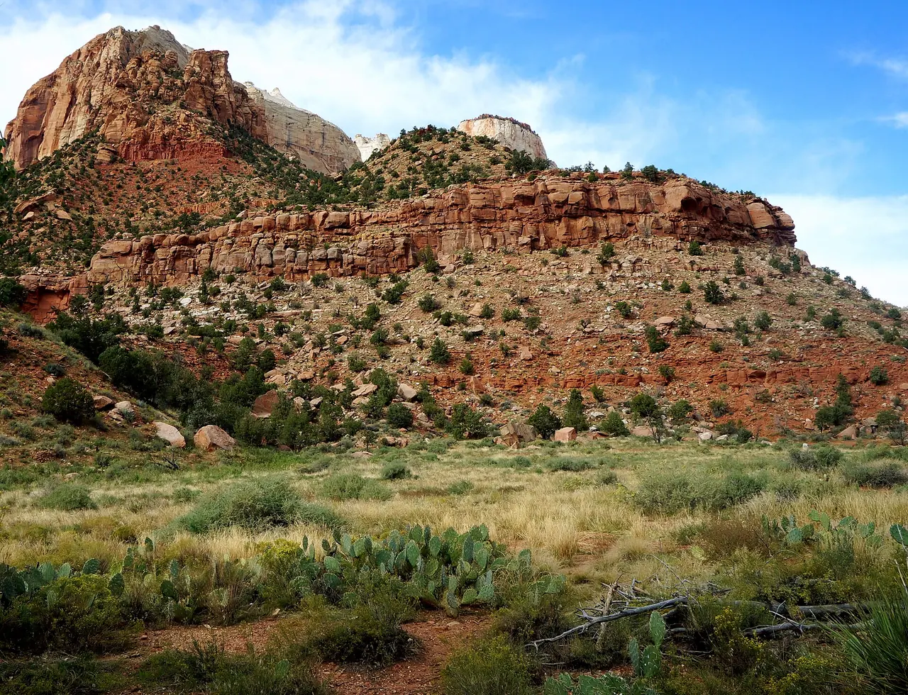 Twin Brothers and Bridge Mountain, towering Navajo Sandstone peaks in Zion National Park