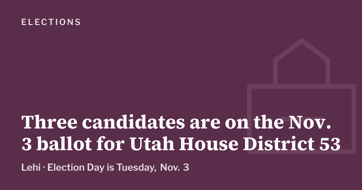 Graphic: elections, Lehi